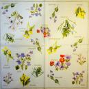 036 Daffodils - 3-ply (yellow)